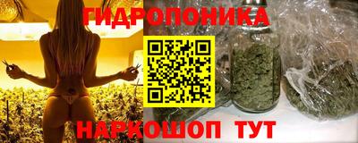 apvp Пугачёв