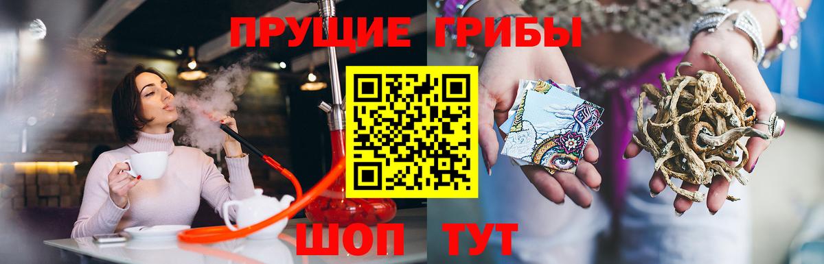 Псилоцибиновые грибы Magic Shrooms  Вход с VPN  Спасск-Дальний 